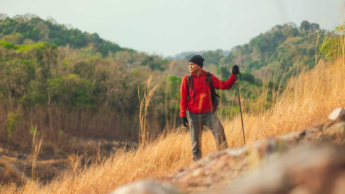 Trekking e escursioni vicino a Orvieto: sentieri facili, panoramici e per famiglie